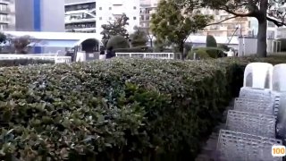 女主播用黄鳝自慰致死🈲️久久狠狠亚洲综合色成人免费网站